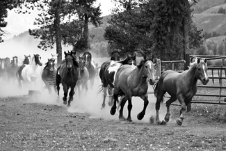 A Night Out A Night Out