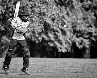 Stanley Park Crickett Stanley Park Crickett
