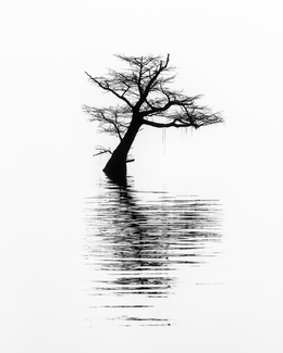 Ode to Solitude Ode to Solitude