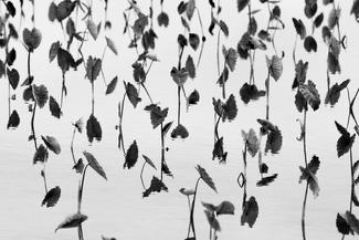 Truth and illusion Truth and illusion