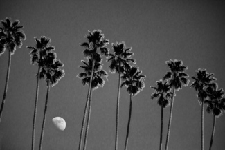Santa Monica Noon Moon