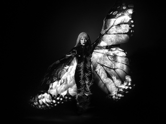 Butterfly Coming Down to Rescue Me Butterfly Coming Down to Rescue Me