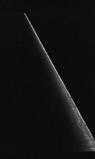 poolside dream poolside dream