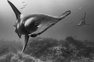 Face to face Face to face