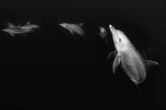 From the deep From the deep