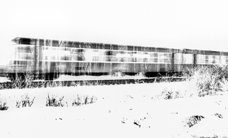 Missing Forest Missing Forest