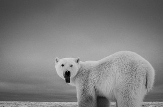 Complicity Complicity