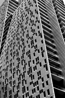 white knight white knight