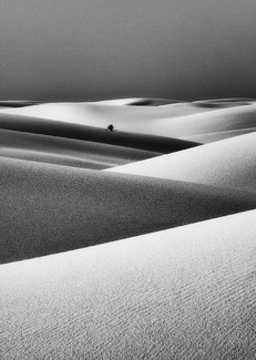 Convergence #2 Convergence #2