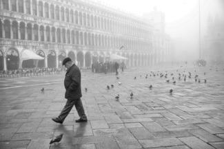 Fog in Venice 01