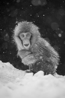 Small anxiety Small anxiety