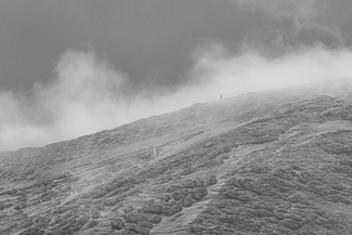 no hesitation no hesitation