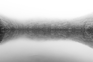 swamp of fog swamp of fog