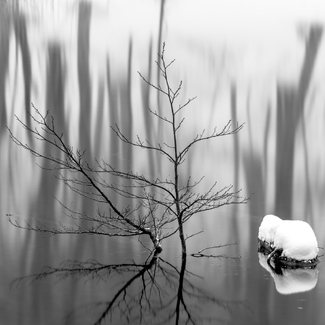 Japan's beauty Japan's beauty