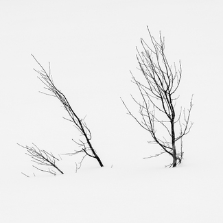 Japan’s simple Japan’s simple