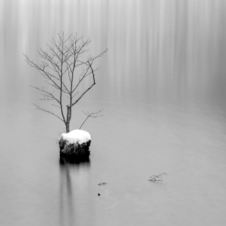 Integration Integration