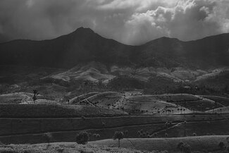 Cycle Of Life Cycle Of Life