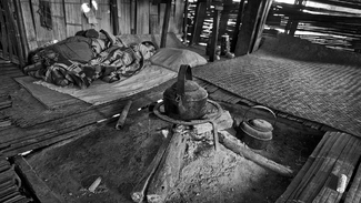 primitive living primitive living