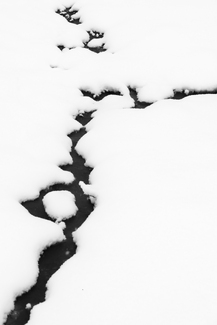 Impressions Impressions