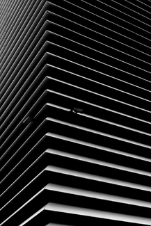 Big Data is Watching You Big Data is Watching You