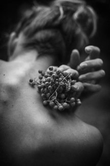 Portrait Lore 2 Portrait Lore 2