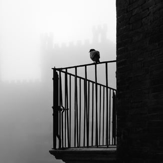 Foggy Day In Siena Foggy Day In Siena