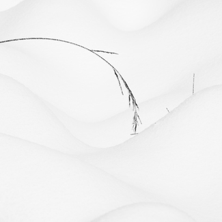 Sometimes it snows in April Sometimes it snows in April