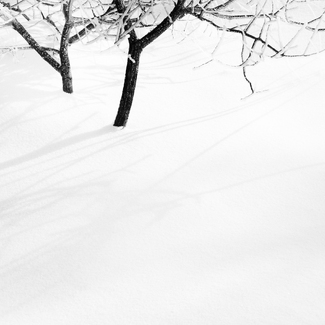 Sometimes it snows in April too Sometimes it snows in April too