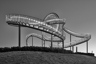 Tiger & Turtle Tiger & Turtle