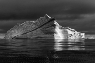 Antarctica Antarctica