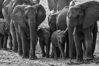 La rencontre La rencontre