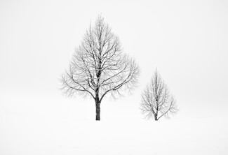 Untitled 1 Untitled 1