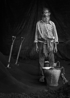 The Coal Porter The Coal Porter