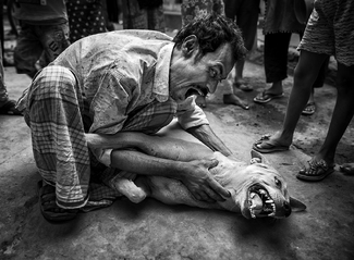 Tickling Games Tickling Games