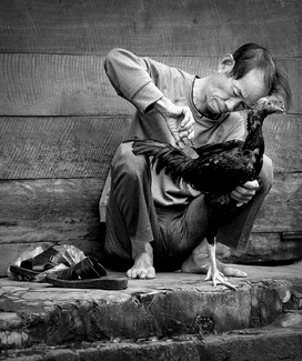 Grooming for the Fight Grooming for the Fight