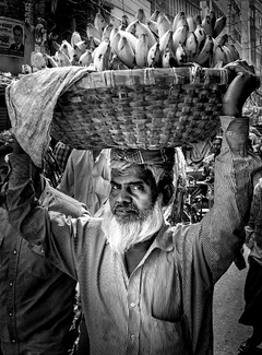 Fruit Vendor Fruit Vendor
