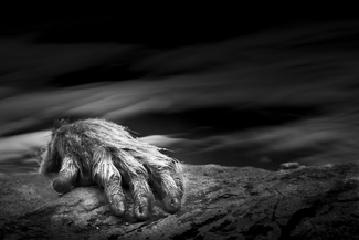 From the Abyss From the Abyss