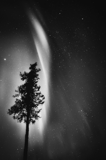 Aurora Play Aurora Play