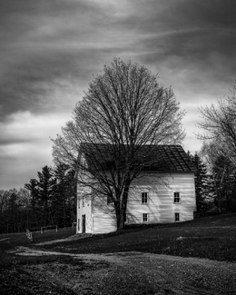 Barren Tree with Barn Barren Tree with Barn