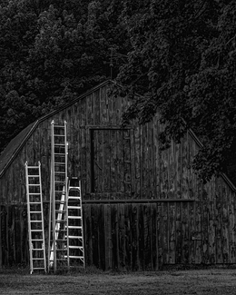 Silver Ladders Silver Ladders