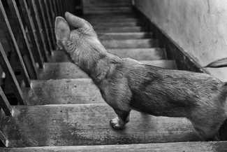 Looking Back Down Time Looking Back Down Time