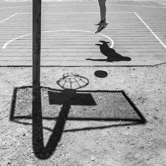 Shadow Play Shadow Play