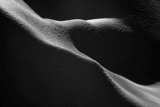 Fragile and Mute Fragile and Mute