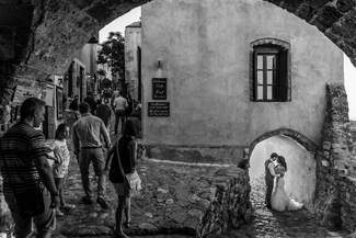 curiosity and love curiosity and love