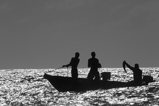 Fresh Caught Fresh Caught