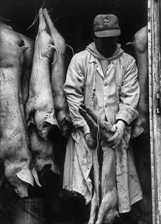 Butcher-Chinatown, New York Butcher-Chinatown, New York