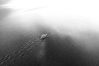 Into the Great Unknown Into the Great Unknown