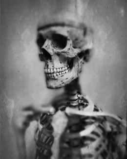 Skeleton Skeleton