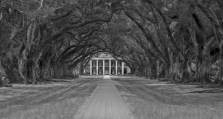 Path to Oak Alley Path to Oak Alley