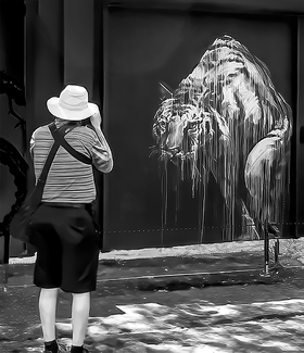 Catching the Tiger Catching the Tiger